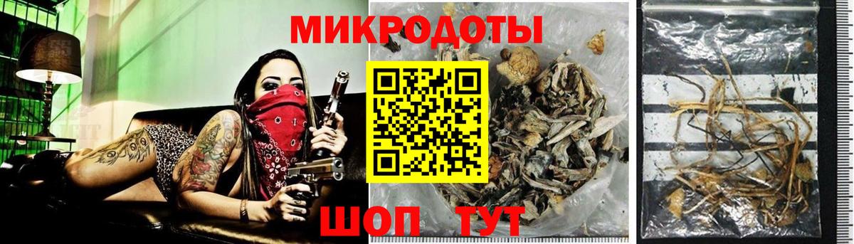 Галлюциногенные грибы Psilocybine cubensis Всеволожск